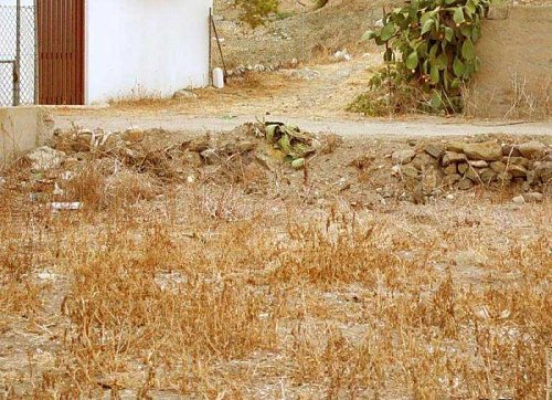 برای دیدن سایز بزرگ روی عکس کلیک کنید

نام:  Find_the_Hidden_Cat.jpg
مشاهده: 15
حجم:  90.9 کیلو بایت