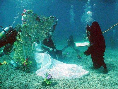 برای دیدن سایز بزرگ روی عکس کلیک کنید

نام:  1280877_626529674083094_2037687685_n.jpg
مشاهده: 37
حجم:  29.5 کیلو بایت