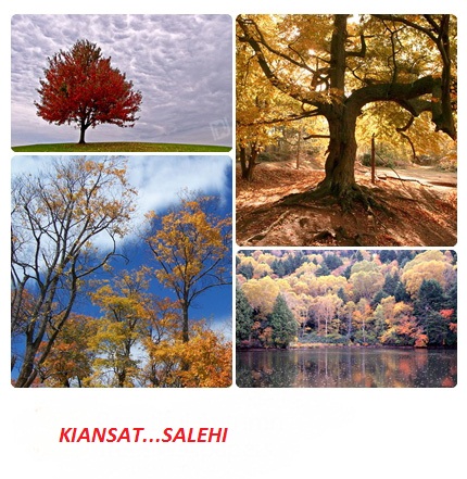 برای دیدن سایز بزرگ روی عکس کلیک کنید

نام:  1307785843_beautiful.autumn.trees.wallpapers.jpg
مشاهده: 27
حجم:  103.5 کیلو بایت