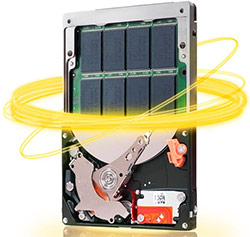 Click here to enlarge