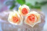 moji001 آواتار ها