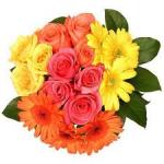 myssam آواتار ها