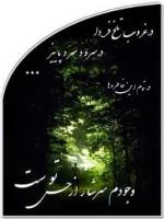 aminihossein آواتار ها