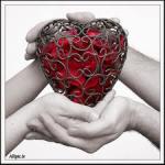 tiba آواتار ها