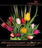 notehaftom آواتار ها