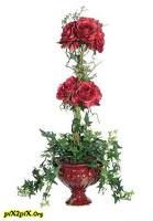 KOUROSH 5 آواتار ها