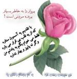 hasan.h آواتار ها