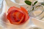 Ahad2222 آواتار ها