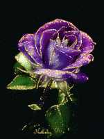 aidin4095 آواتار ها