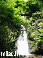 milad.h آواتار ها