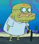 seebzamini1 آواتار ها