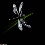 ali2350235 آواتار ها