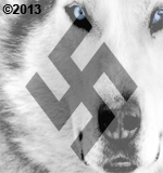 mostafait آواتار ها