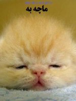 zagroti آواتار ها