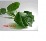 toto.hd.3d آواتار ها