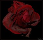 ککلی آواتار ها